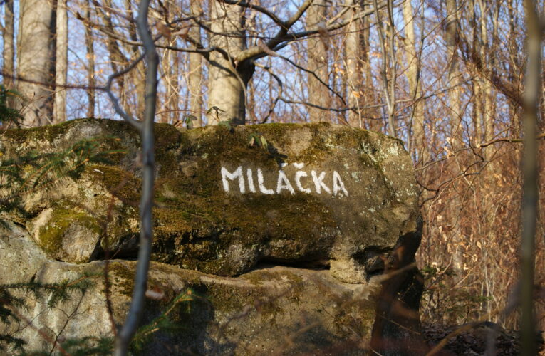 Miláčka