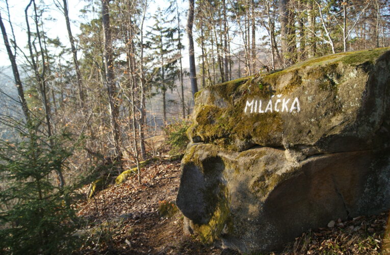 Miláčka