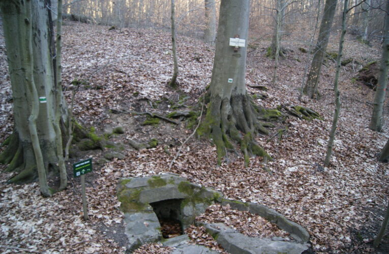 Studánka Na Loukách