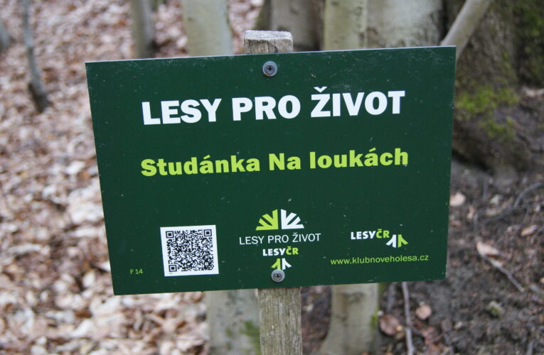 Studánka Na Loukách