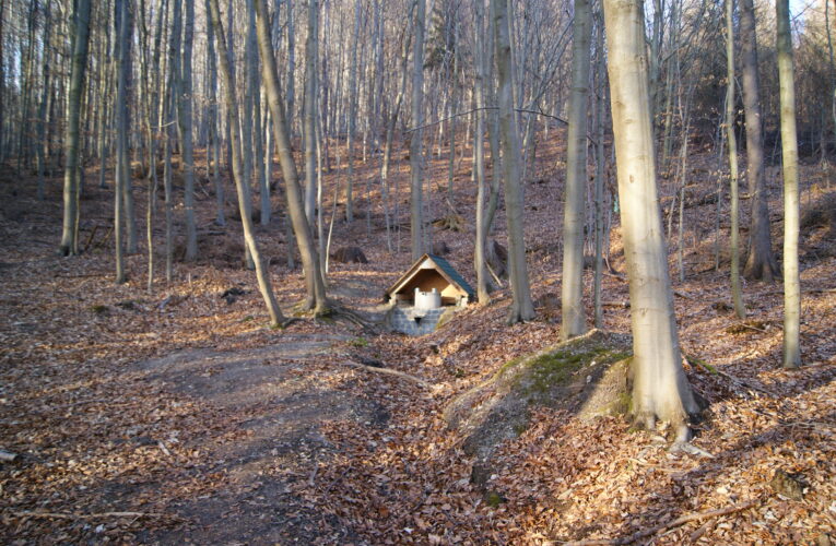 Hladná voda - studánka