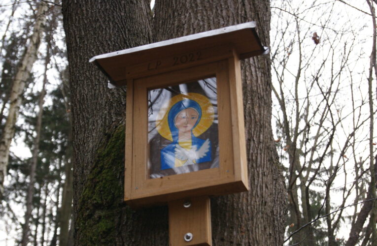 Mariánská studánka