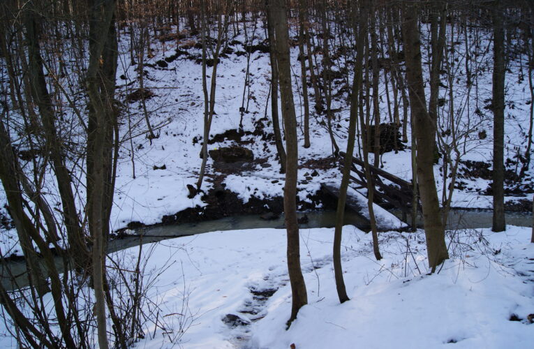 Račí studánka