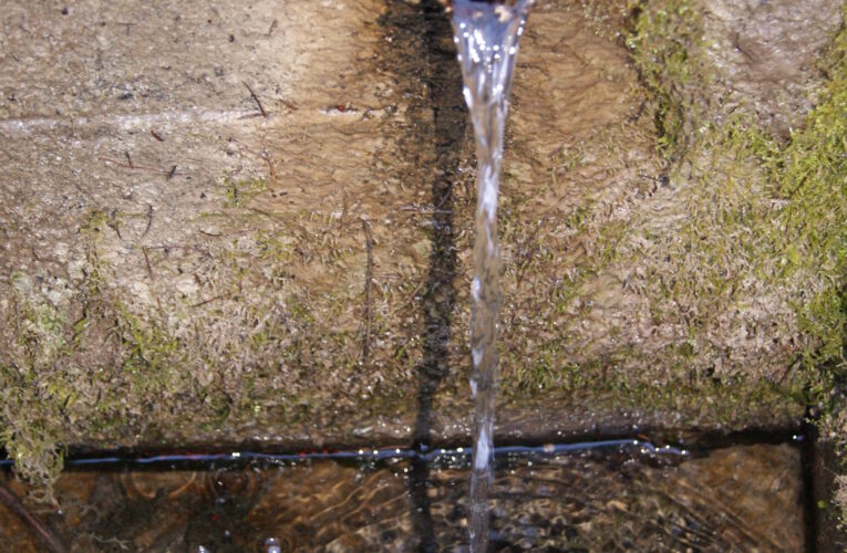 Račí studánka