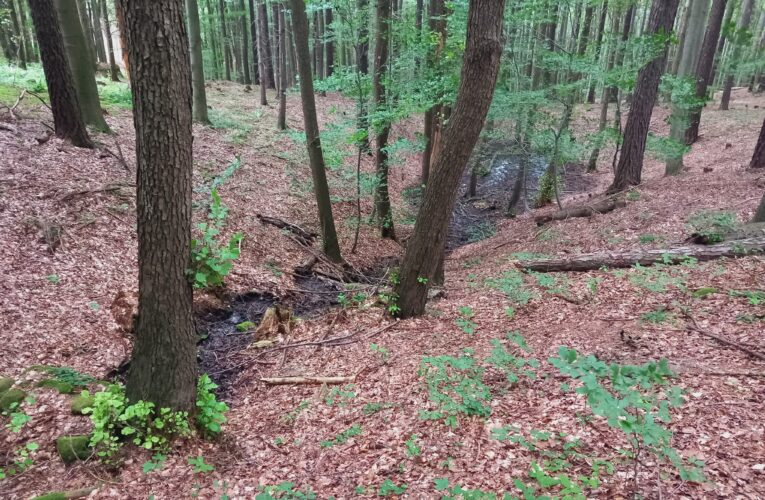 Malenovská studánka​