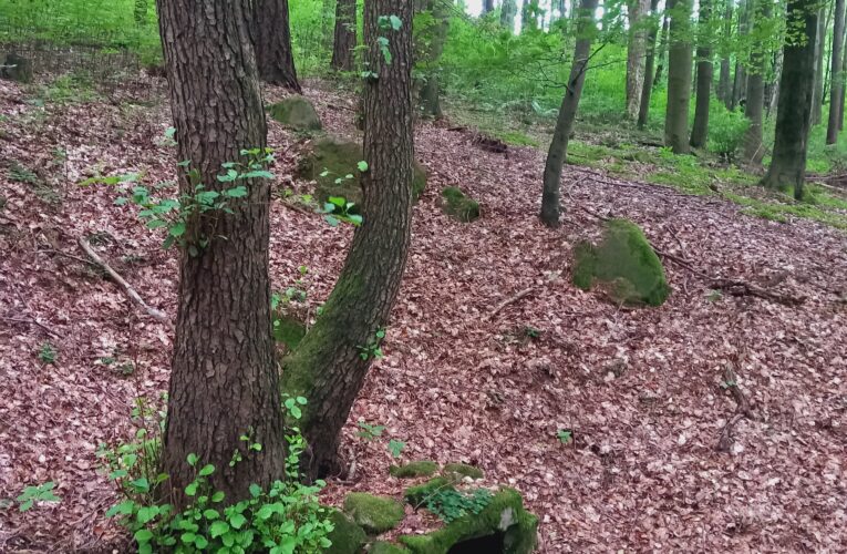 Malenovská studánka​