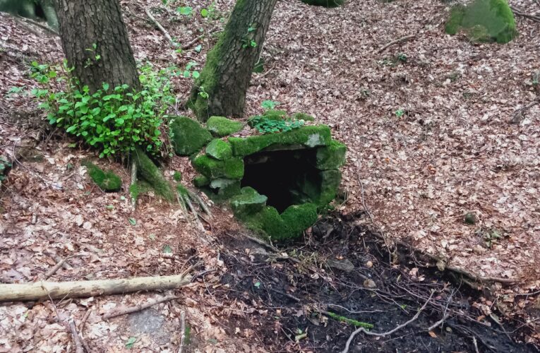 Malenovská studánka​