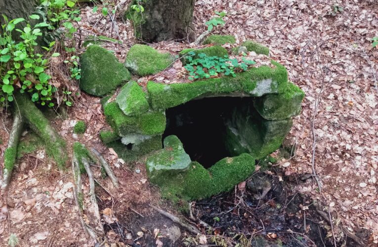 Malenovská studánka​