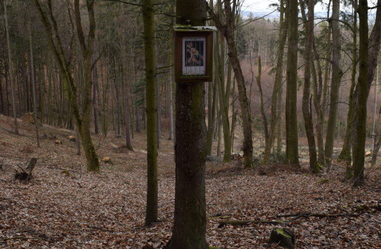 Svatý obrázek u studánky Pod Hradem​