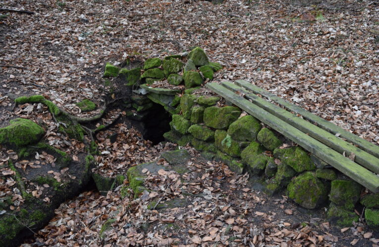 Svatý obrázek u studánky Pod Hradem​