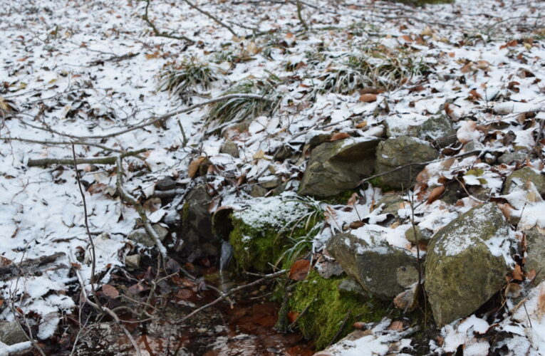 Studánka Hontovice​