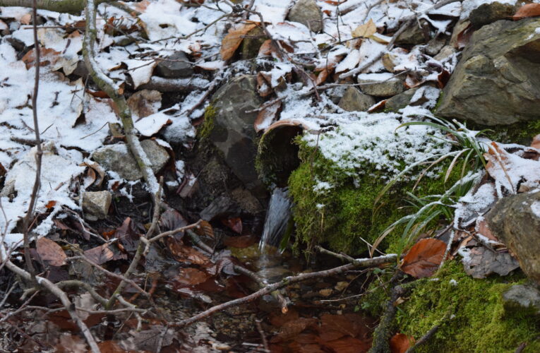 Studánka Hontovice​