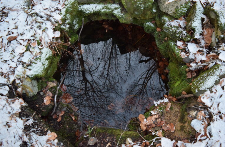 Studánka Hontovice​