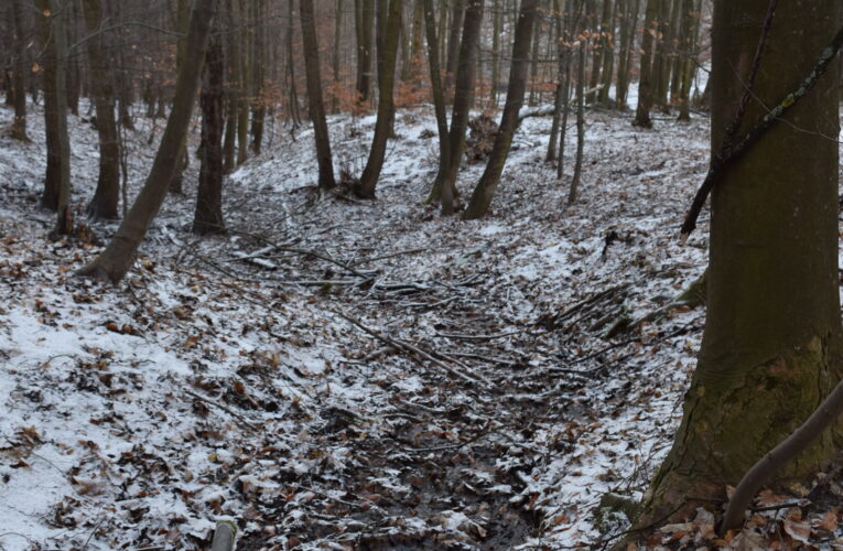 Studánka Hontovice​