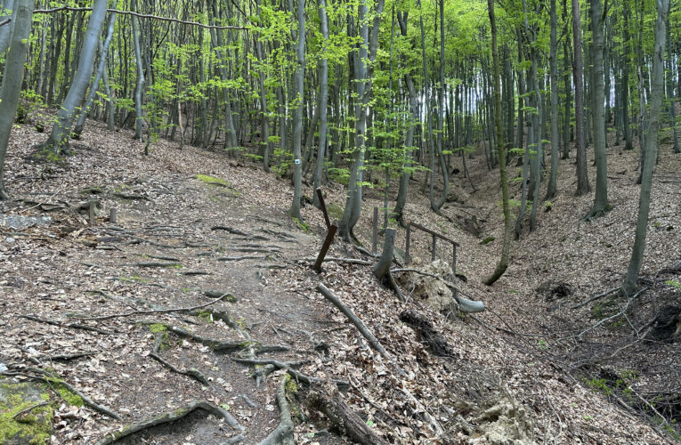 Studánka Kristýnka