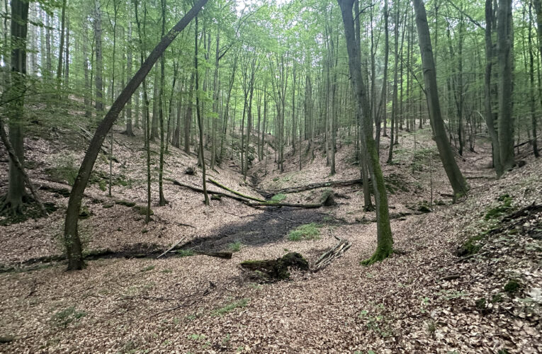 Studánka Pod Skalou