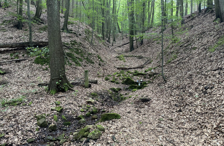 Studánka Pod Skalou