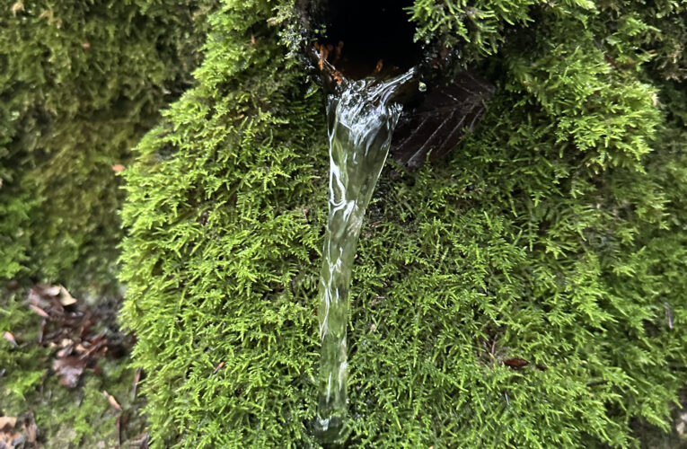 Studánka Pod Skalou