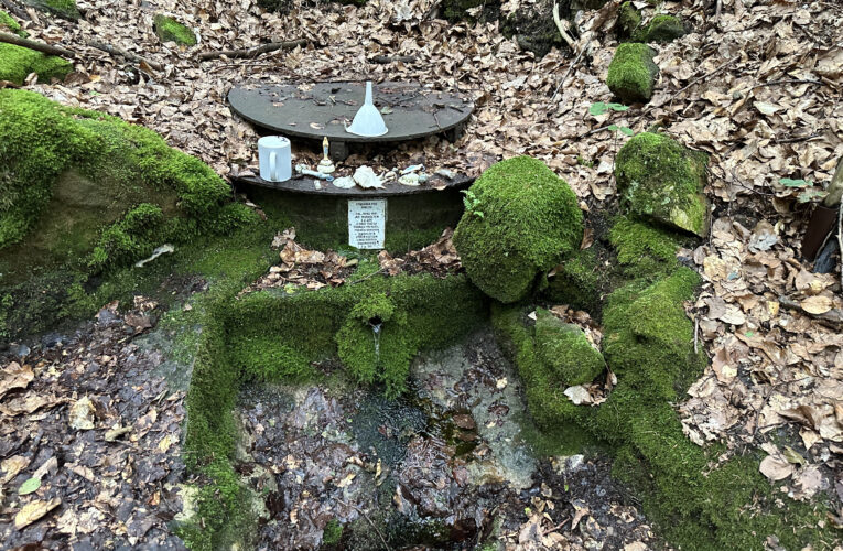 Studánka Pod Skalou