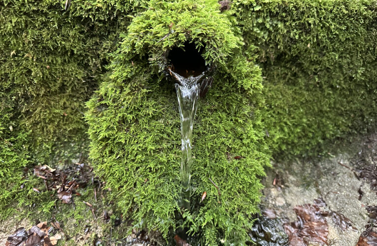 Studánka Pod Skalou