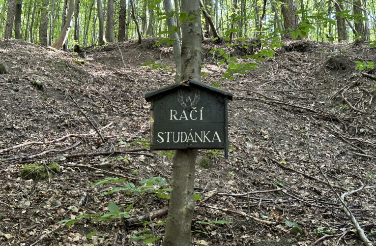 Račí studánka