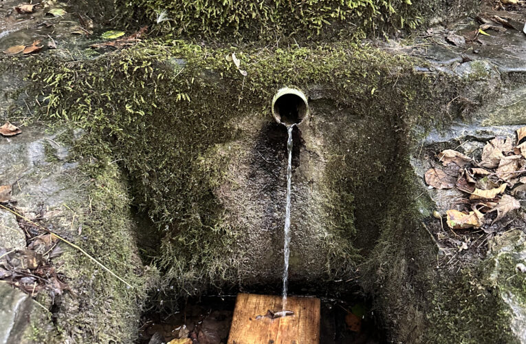 Račí studánka