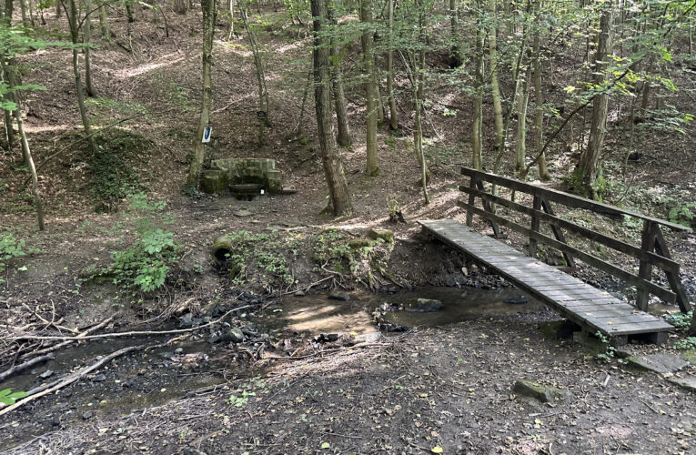 Račí studánka